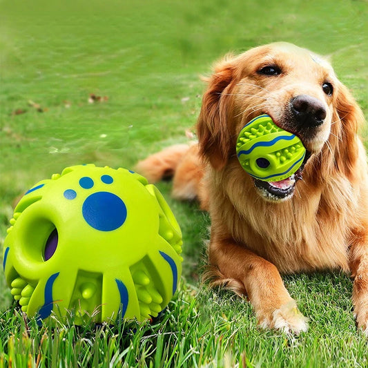 Chewing Pet Ball